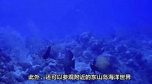 东山岛旅游攻略二日游，东山岛三天自由行攻略