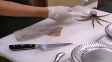 日本东京银座吃海鲜刺身，一半的饭钱都是再买厨师的刀工