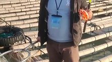 螃蟹都躲起来了，只能给大家钓钓鱼，维持一下生活