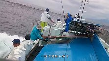 水沟黑压压一片，小伙一网子下去，水面瞬间沸腾了！