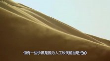 沙漠里看到西瓜一定不能摘？一位游客不信邪，刚拿起来就后悔了