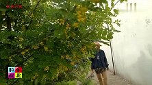 东北“喂的罗”是干啥的？焦黄的年糕饼子真馋人！“狐狸洞”补秧