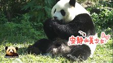熊猫圆仔对甜甜的水果冰爱到无法自拔，乖巧又贪吃的样子太萌了