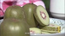 寻味中国：奉节高山猕猴桃，口感香甜清爽，营养价值极高