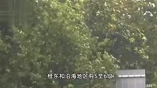 广西发布台风黄色、暴雨蓝色双预警！玉林、北海等地或有大到暴雨