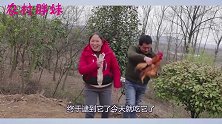 胖妹两口子围山鸡跑满山，累得胖妹气喘呼呼，做爆炒鸡当下酒菜