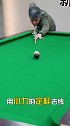 小力用不好？控不住白球？教你如何训练小力控球台球 台球教学 新锐台球