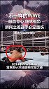 wwe 表演风险触目惊心 赛斯罗林斯亲身演绎 切勿随意模仿职业动作 震惊 害怕