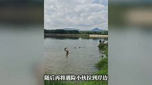 广东清远一公园两名小孩和救人者均溺水，男子跳入江中救起三人：我也是父亲