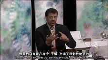 莫名其妙的宇宙：令人疑惑的地球生命起源