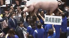 国民党“立法院”抗议进口美猪 抬“猪队友”一起秀场面如嘉年华