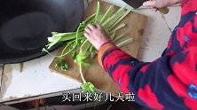 农村小吕：鸡肉汤炖豆腐，配上老妈 挖的新鲜野菜，这伙食真不错