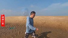 赶海的沙滩都被“泥螺”霸占了，好几万只趴滩涂上，二哥都抓不完