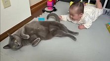 宝宝一再挑衅，猫咪起身，看看周围没人，立马开打！