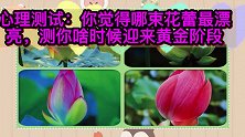 心理测试：你觉得哪束花蕾最漂亮，测你啥时候迎来黄金阶段