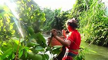 野人邀请美女抓鱼，箩筐罩到3条鱼，野人拿了条就溜！