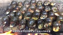非洲新兴奇葩美食，大街小巷都有卖，中国网友心大！