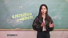 探岳GTE想要竞争SUV市场的最大优势是什么？(1)