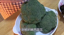教你素炒西兰花的家常做法，营养美味，孩子身体长得好
