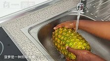 咳嗽反反复复老不好？厨房生姜加上这一物，止咳化痰防流感！