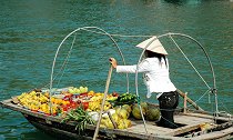 越南水果卖不出去，怪中国要求高？网友：东南亚不止你们产水果