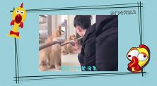 看看你满嘴的口红，真不知道你是这样的狗