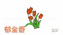 植物简笔画大全，画红色郁金香简笔画