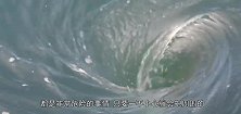 湖面出现大漩涡，两只鹅若无其事的靠近了过去，镜头拍下全过程