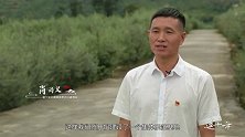 《这十年幸福中国》台湾父子扎根大凉山 小小橄榄创造共富故事