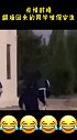 学校封校，翻墙回来的同学被保安追，画面太搞笑！