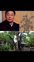 “鉴宝专家”专家刘岩：花17万买老百姓的画，转手卖出8700万。朝阳1号一路朝阳  朝阳轮胎