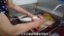 武鸣城东鱼生，没想到鱼红肉也能做鱼生，配上啤酒味道真不赖