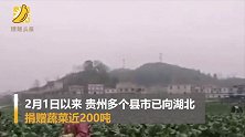 贵州多县向湖北捐蔬菜近200吨 爱心企业：车已装不下