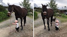 反差萌！澳大利亚15个月大婴儿牵着马在农场散步