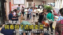 农民挑着担子进城卖菜成山城一景，传统方法种植的农家蔬菜受欢迎