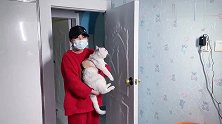 小猫咪闯了祸，惹的主人大发雷霆，妹妹却在这时说谎了