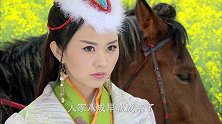 杨藩对梨花一心一意，却始终得不到她的心，实在不解哪不如薛丁山