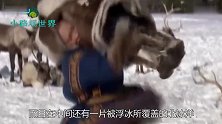 最牛捕猎人,零下45度深入18米冰层捕猎,晚一秒就会命丧其中