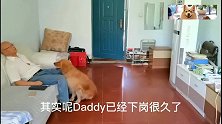 主人下岗，要把狗狗送人，狗狗宁愿捡瓶子也不离开主人