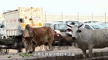 印度又一灾难，或将束手无策，都不知该向哪国求助了！