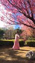 古风：小姐姐樱花树下一支舞，节奏轻快简单，宛若仙女下凡！