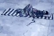 印度：男子睡觉时被眼镜蛇惊醒，翻身跳起躲开攻击