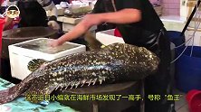 “鱼王”如何切割100斤的巨型石斑鱼，不愧是海鲜终结者