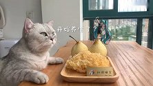猫王：这是我带过的，最差的一届宠物人