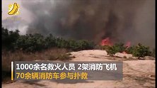 青岛小珠山突发山火：已全部扑灭 无人员伤亡