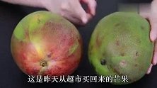原来催熟芒果这么简单，放一晚上就能吃，不用等几天，方法真管用