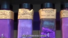 专门收集濒危颜色的博物馆，内部五颜六色，看得人眼花缭乱