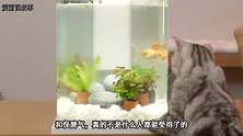 小孩在婴儿床里手舞足蹈，猫咪按住孩子的腿：小主人，你冷静点