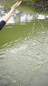 一首DJ版《闯码头》，好听又接地气，越听越喜欢