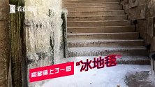 瀑布挂冰棱！上海自然博物馆现“北国风光”